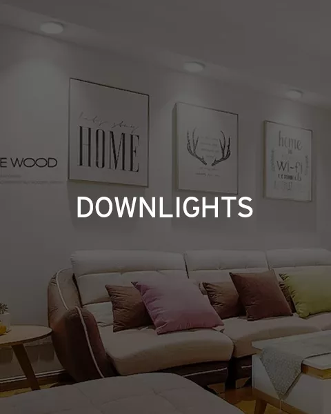 DOWNLIGHT